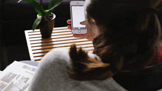 640.gif