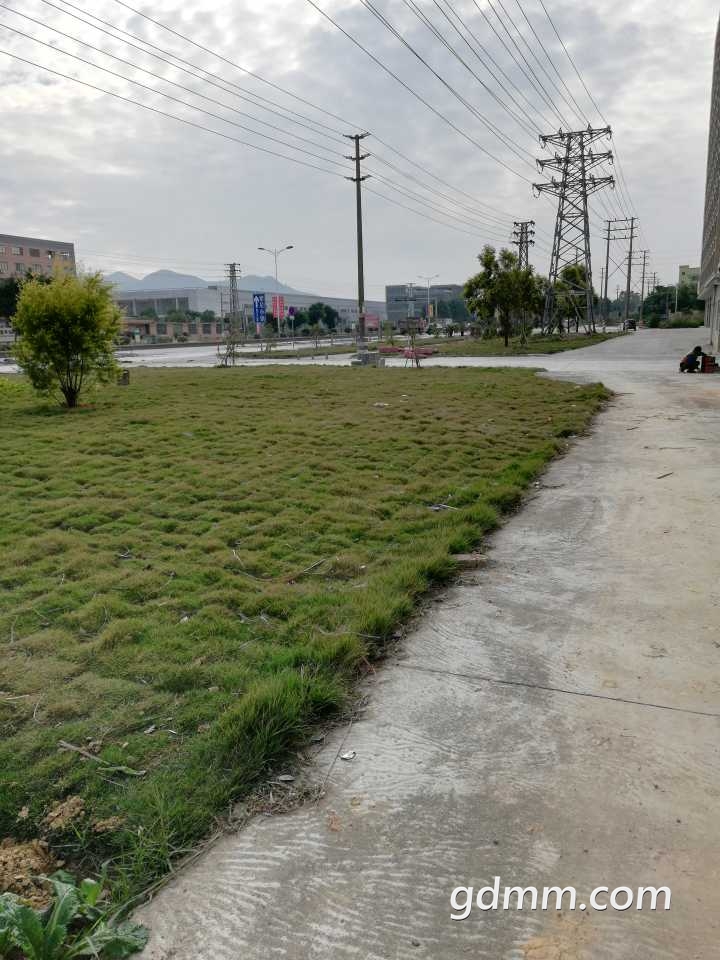 37c4d8873da4ca19.jpg