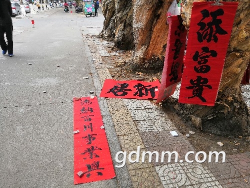 IMG_20190103_153646.jpg