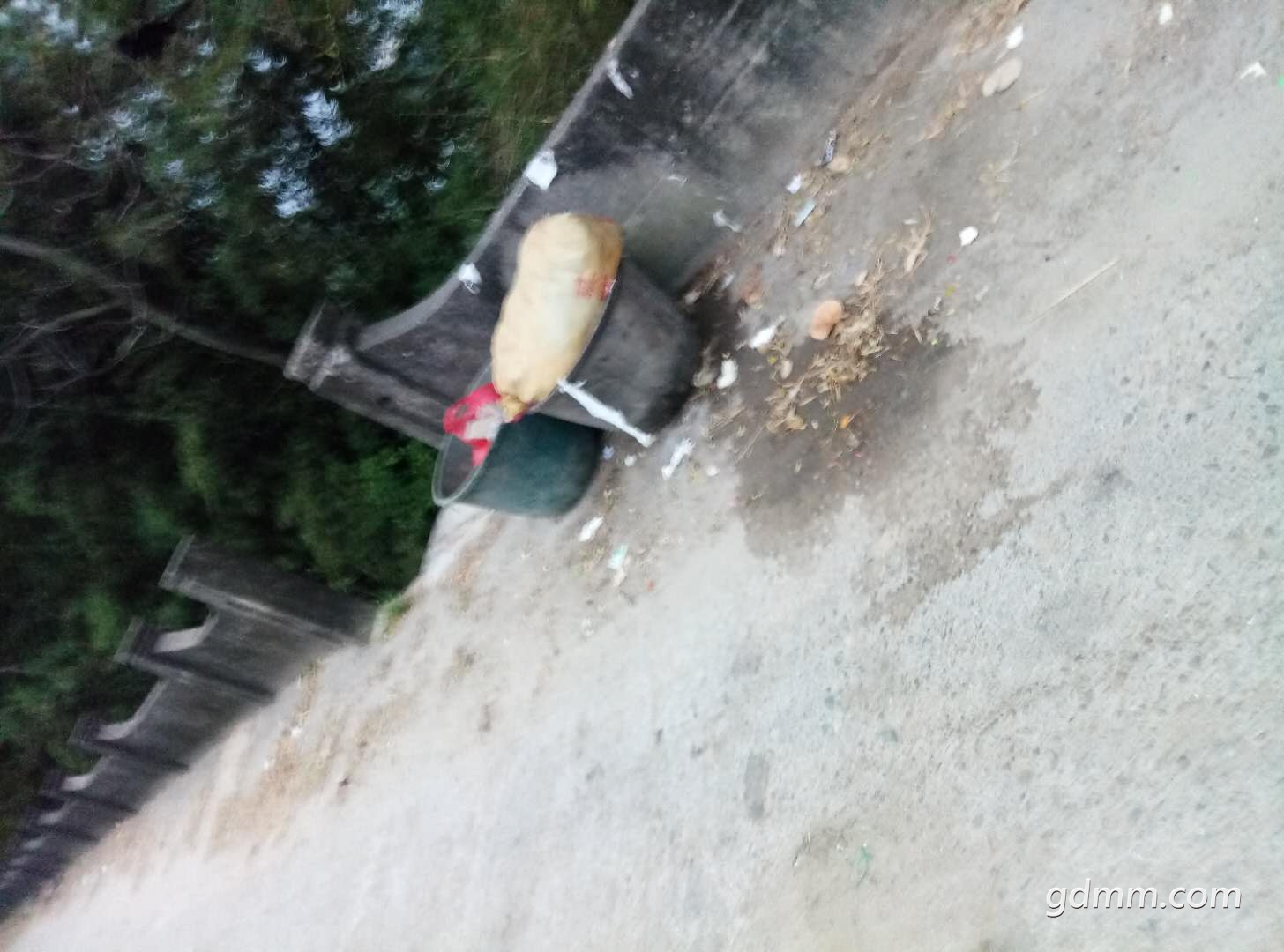 29476789526551526.jpg