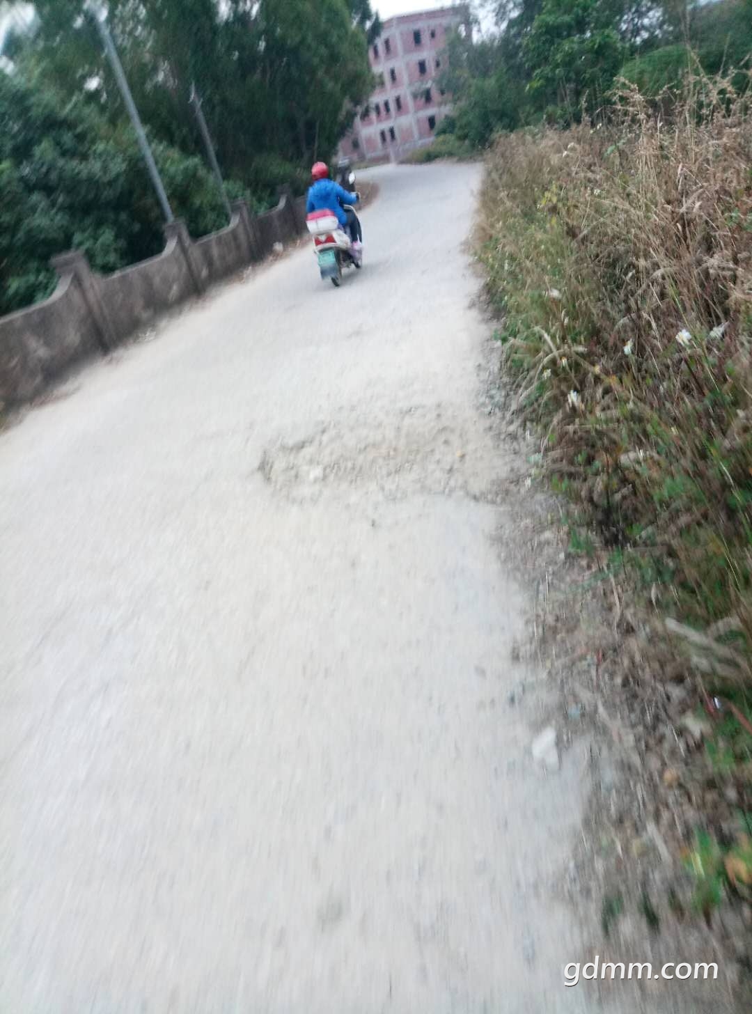 50788227584703112.jpg