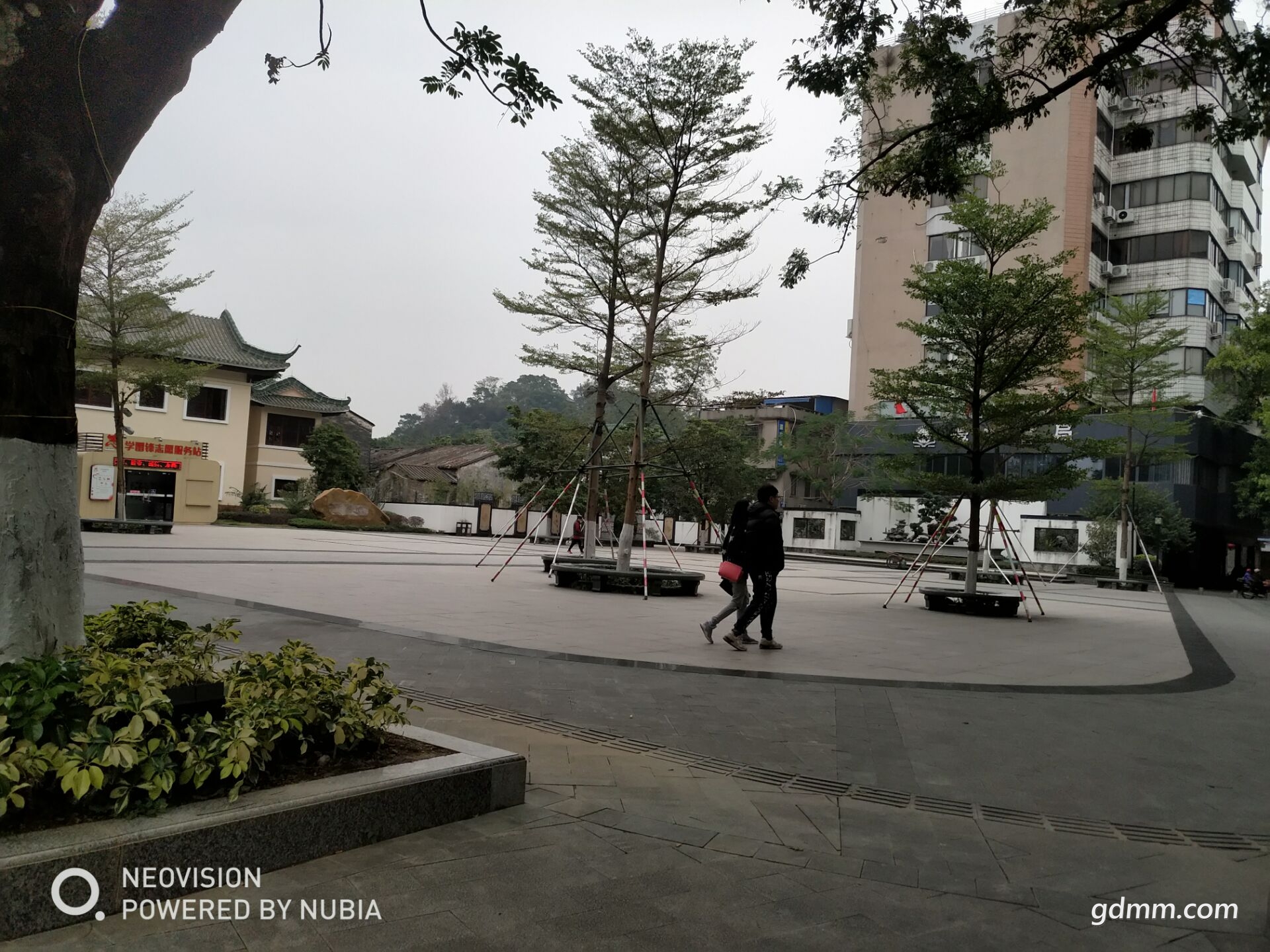 QQͼƬ20190109142545.jpg
