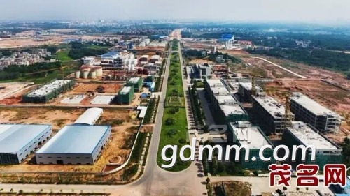 mmexport1547165069854.jpg