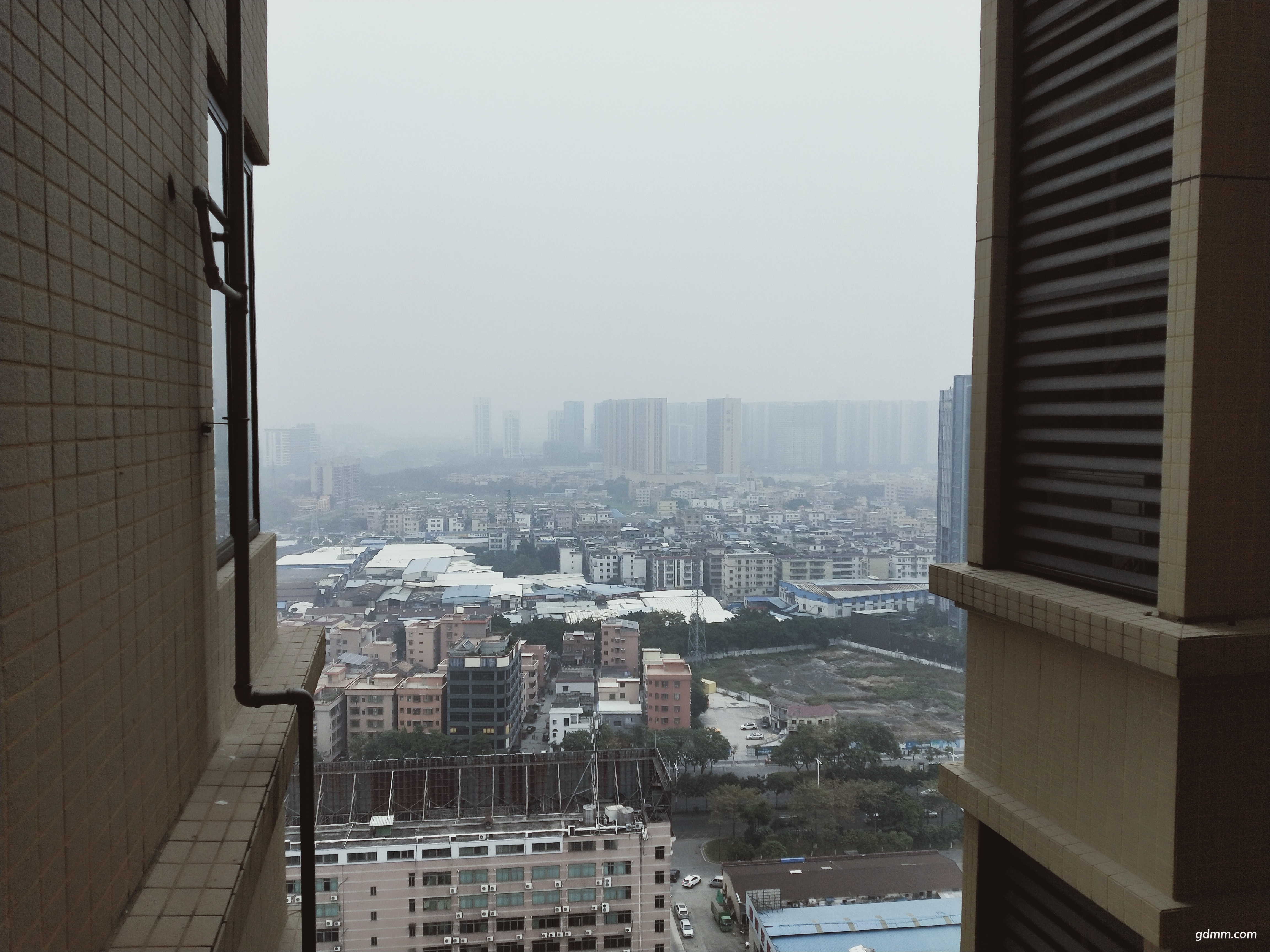 IMG20190111100855.jpg