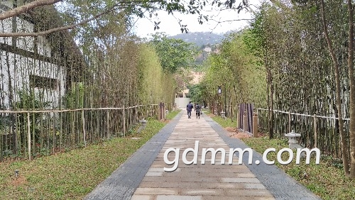 IMG_20190104_082834R.jpg
