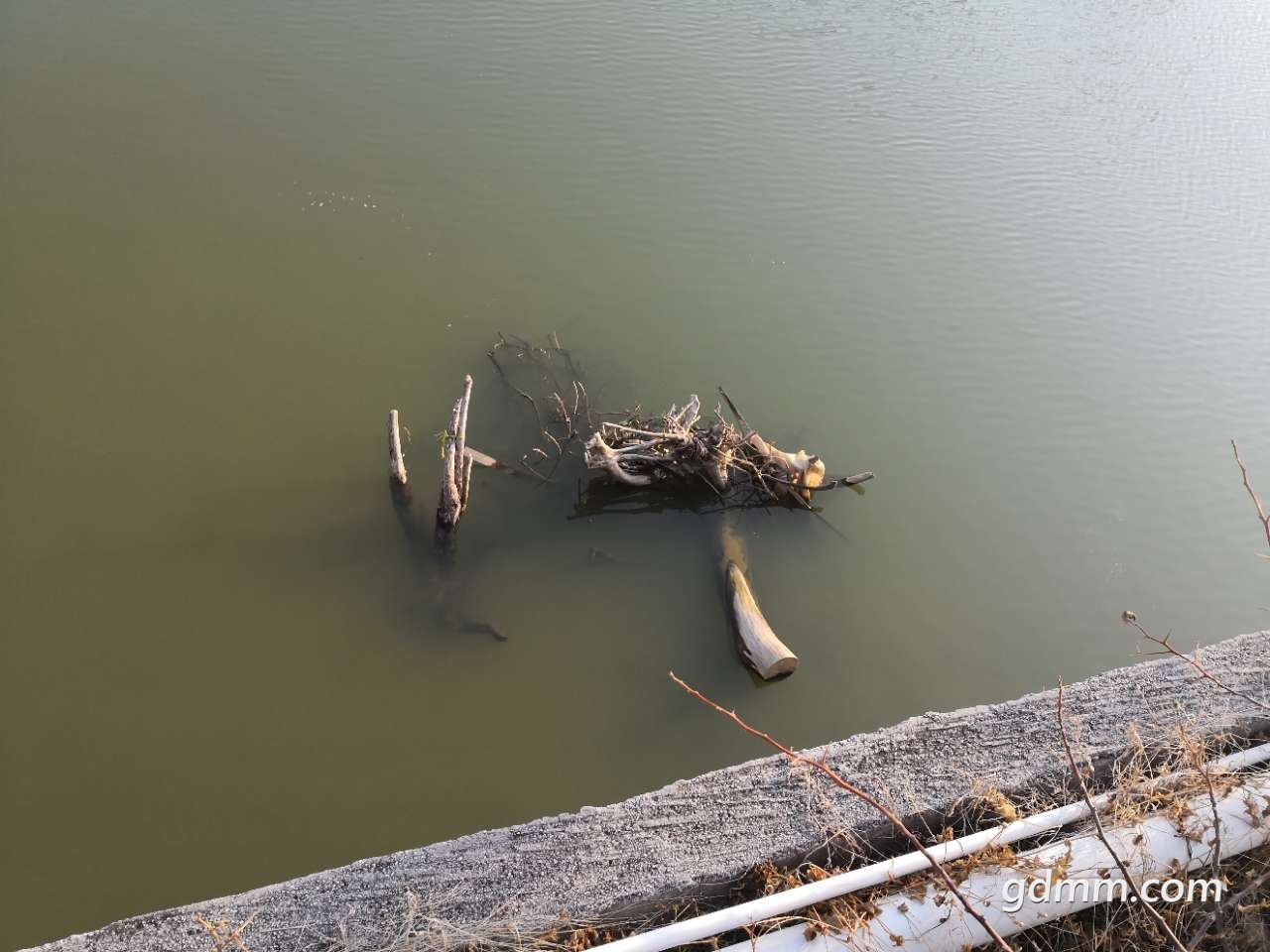 20190119_373927_1547857942299.jpg