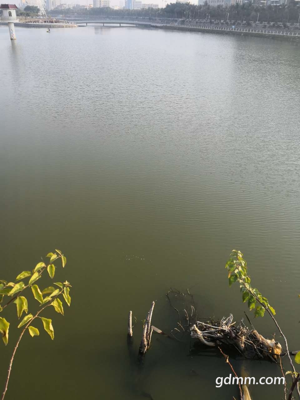 20190119_373927_1547857942513.jpg