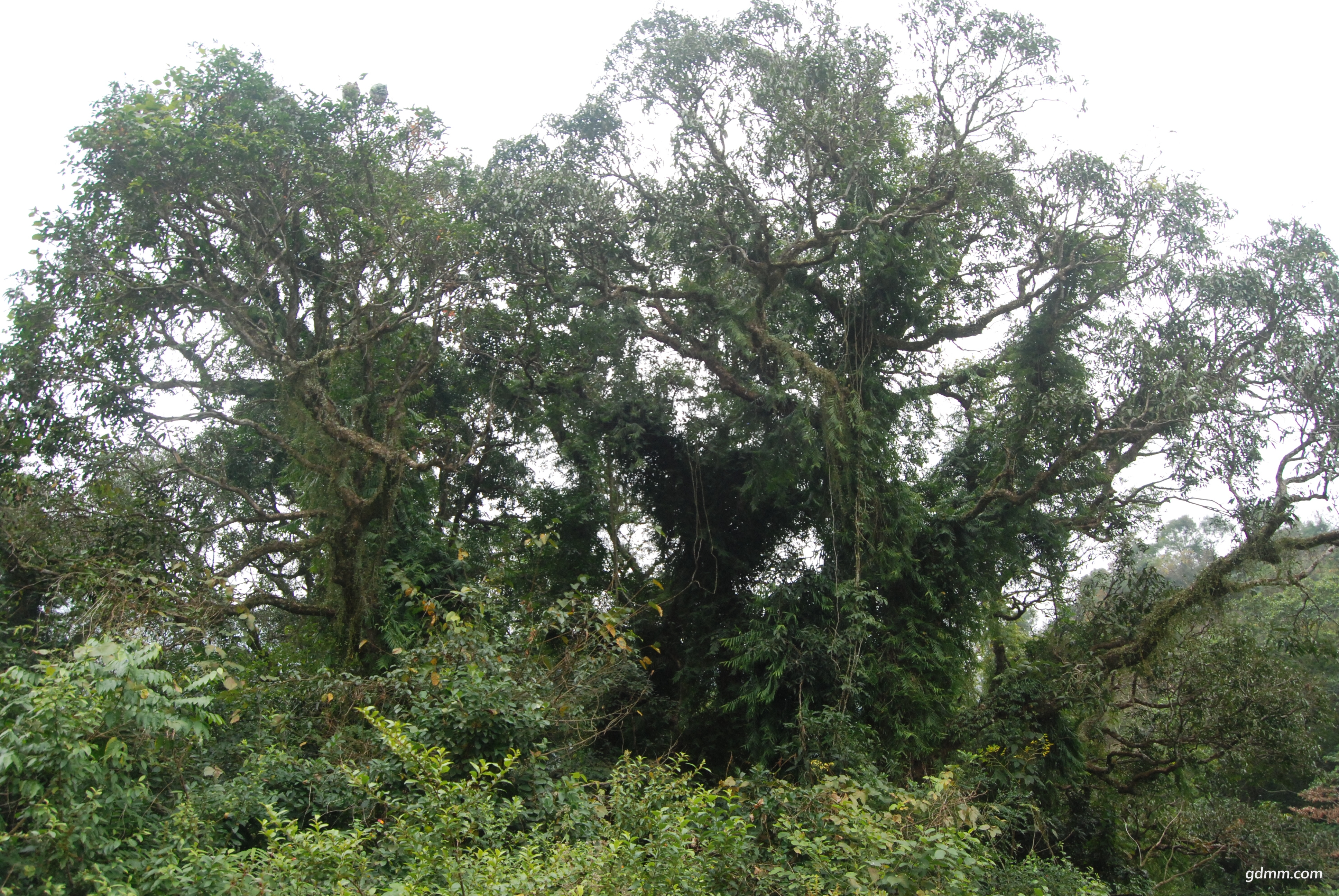 DSC_1140.JPG