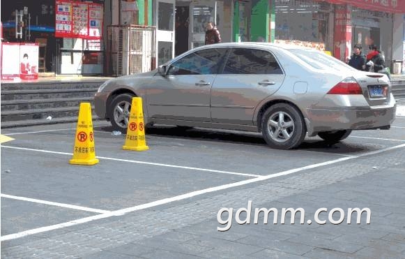 5446464.jpg