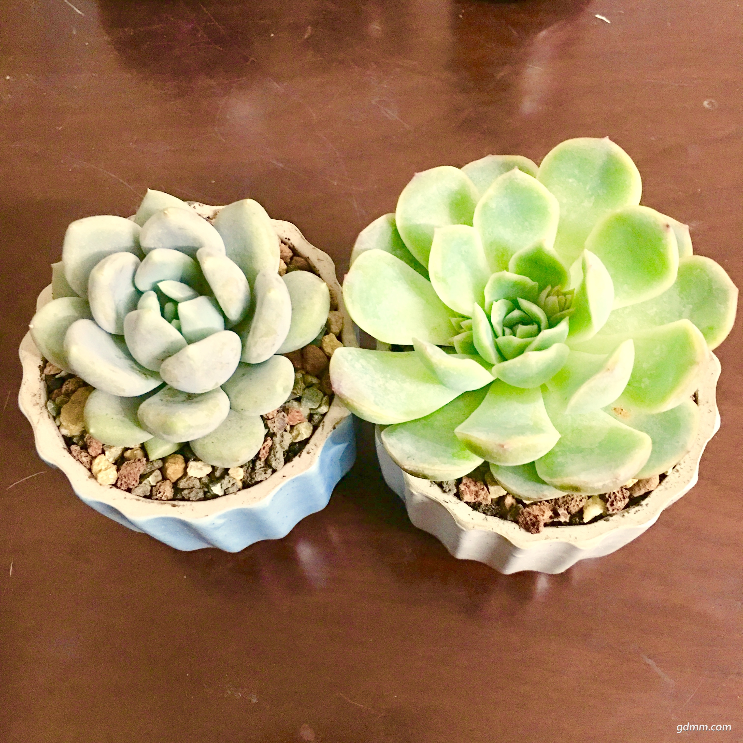 QQͼƬ20190121152653.jpg