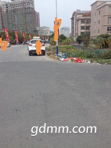IMG_20190126_154055.jpg