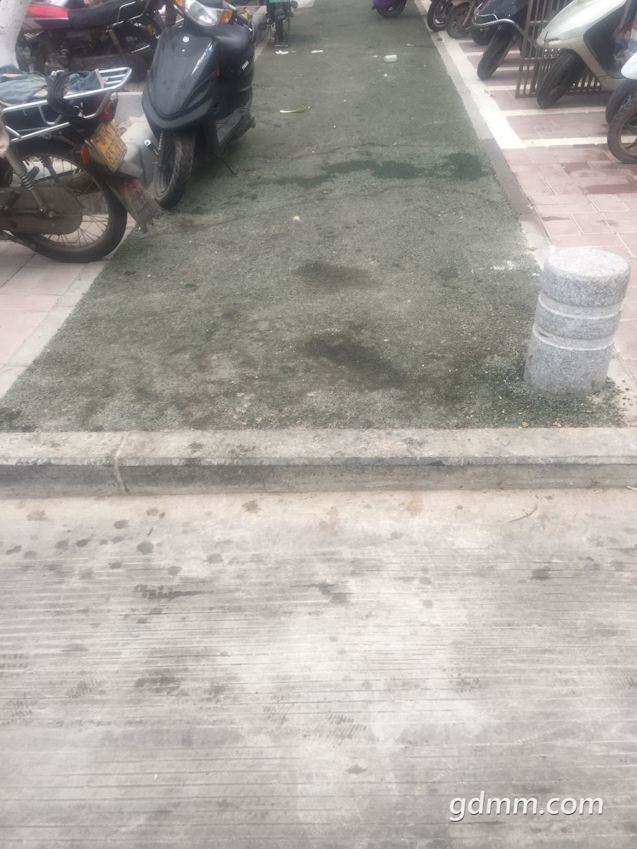 QQͼƬ20190201125403.jpg