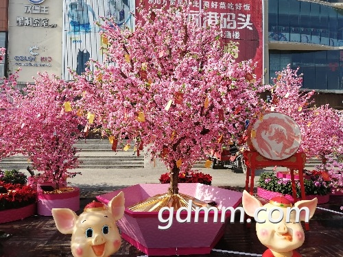 IMG_20190127_153548.jpg