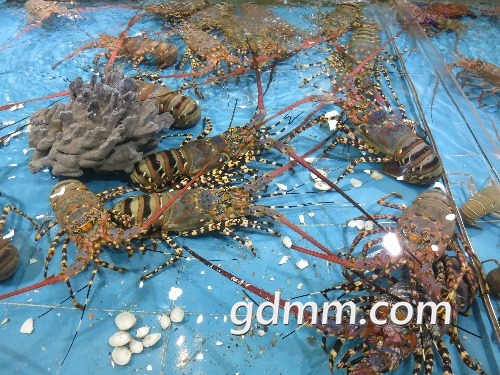 20141002202413.JPG