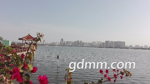 IMG_20180408_170123.jpg