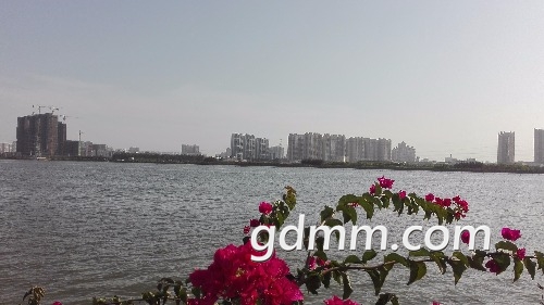 IMG_20180408_164838.jpg