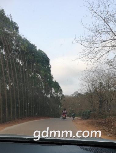 IMG_20190209_170036.jpg