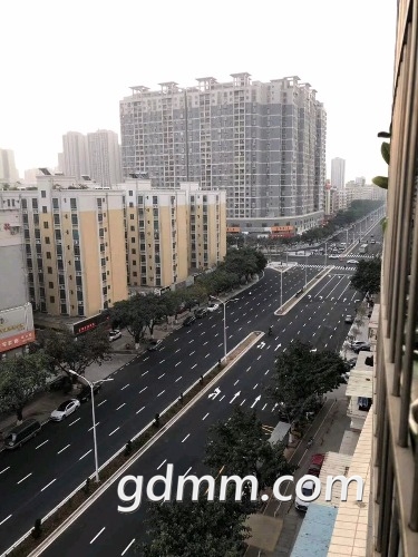 8462C8E855995F582E587CBD54035566.jpg