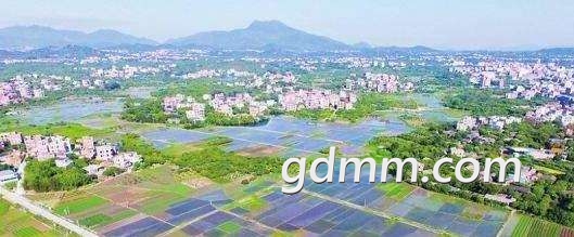 δ.jpg