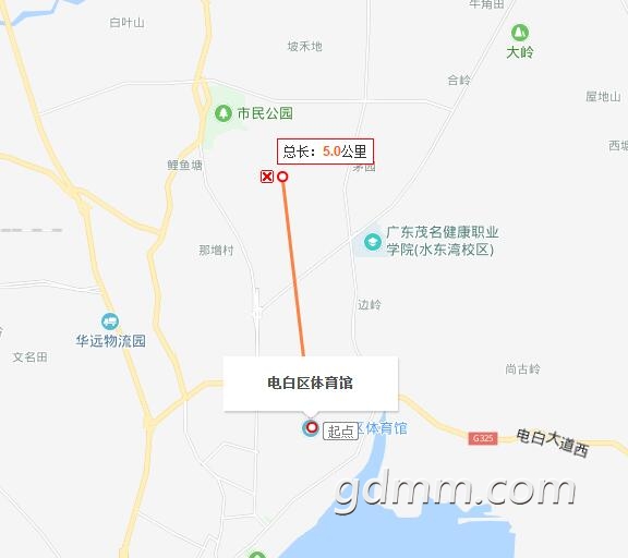 555.jpg