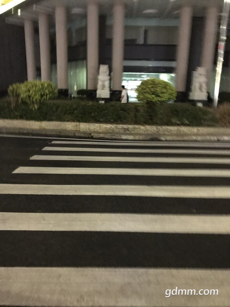 2019021732575041550391633510943.jpg