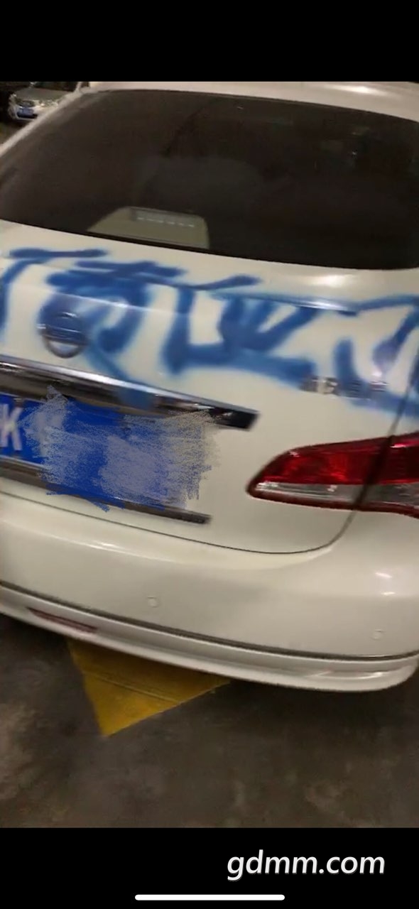 2019022232795991550802309510666.jpg