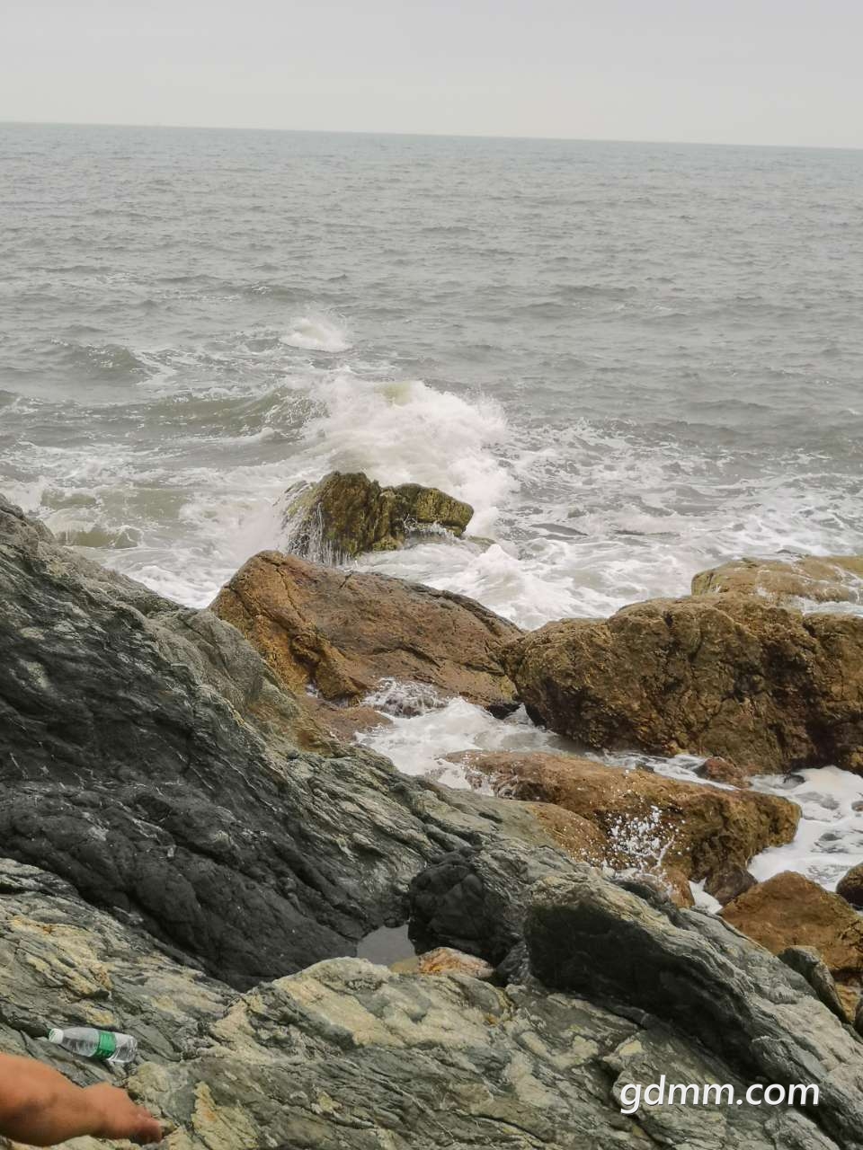 20190223_397207_1550904222056.jpg