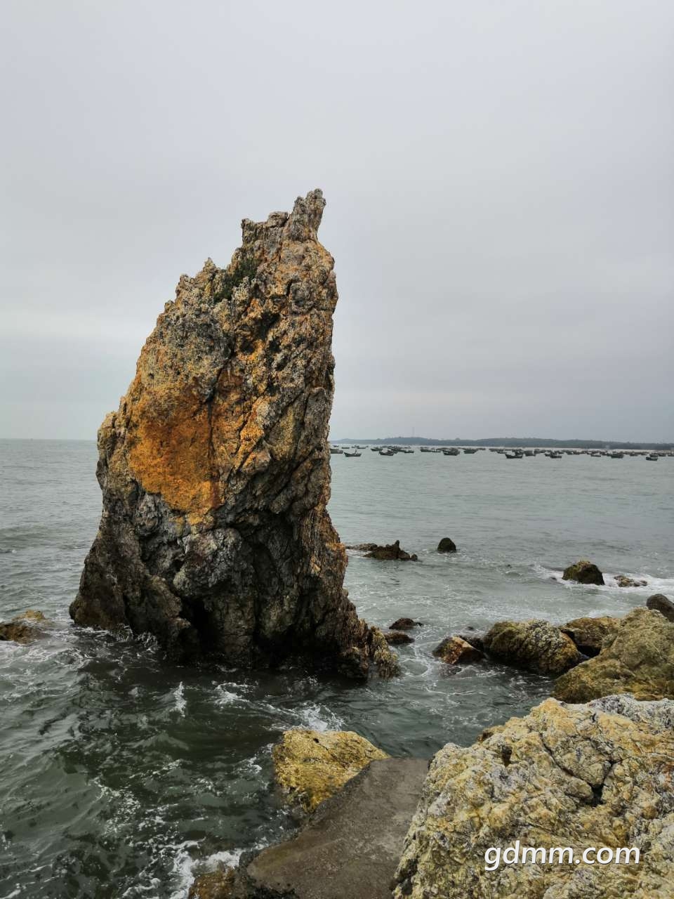 20190223_397207_1550904222680.jpg
