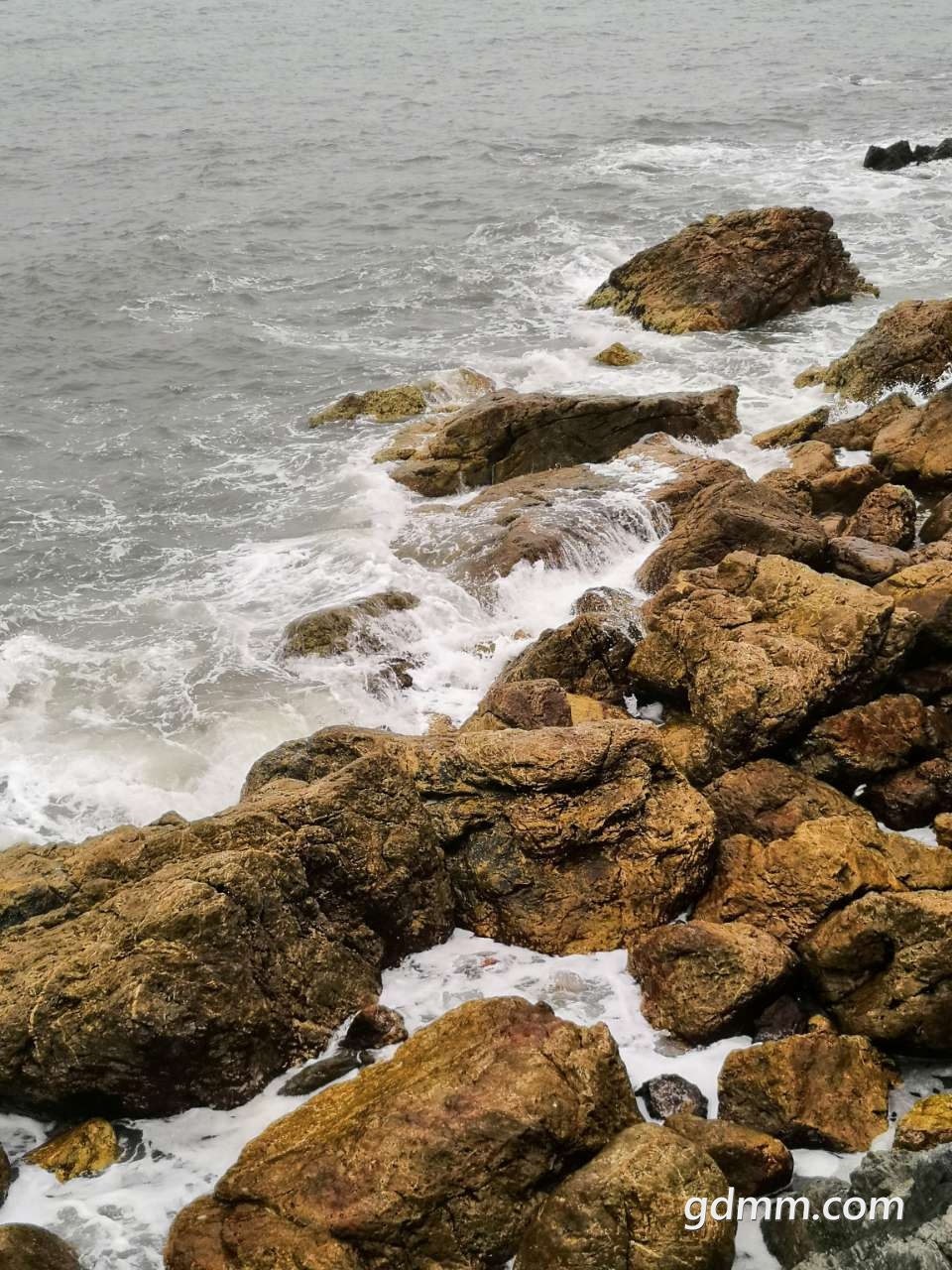 20190223_397207_1550904222976.jpg
