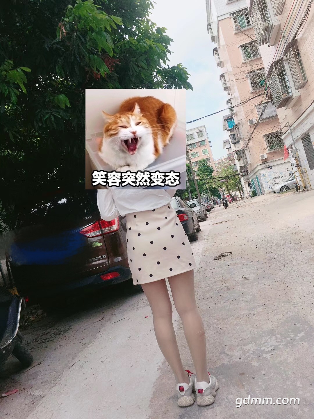 ΢ͼƬ_20190301172739.jpg