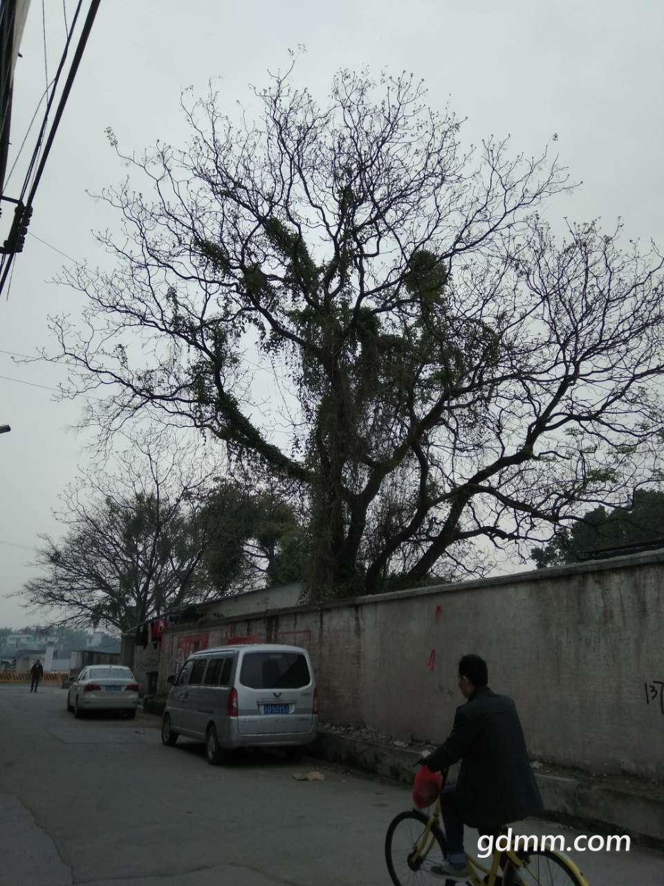 20190303_3245728_1551595114370.jpg