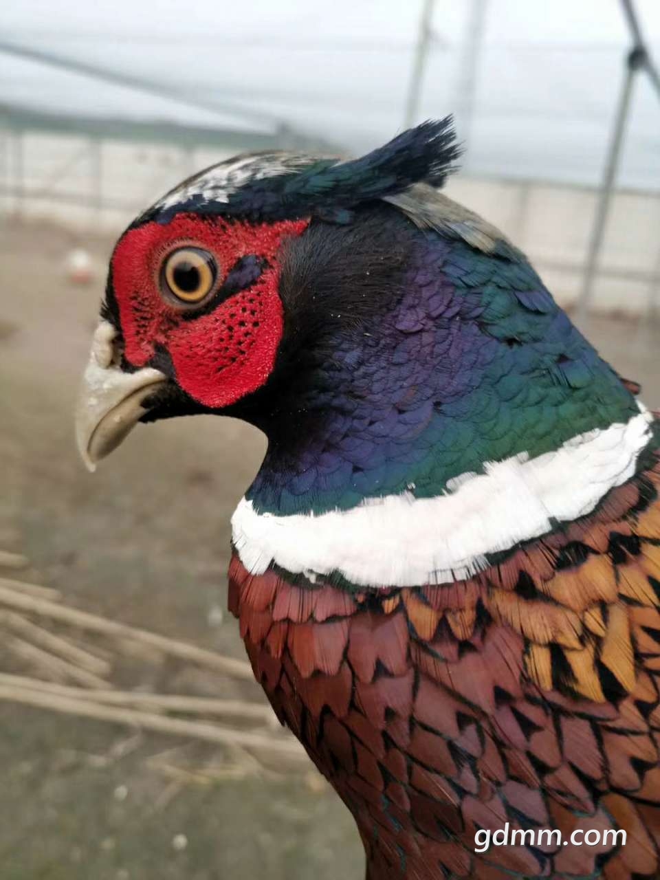 20190303_3277178_1551616941789.jpg