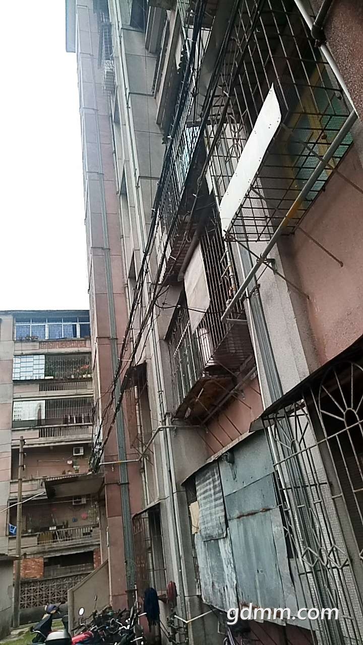 20190305_3275351_1551750596627.jpg