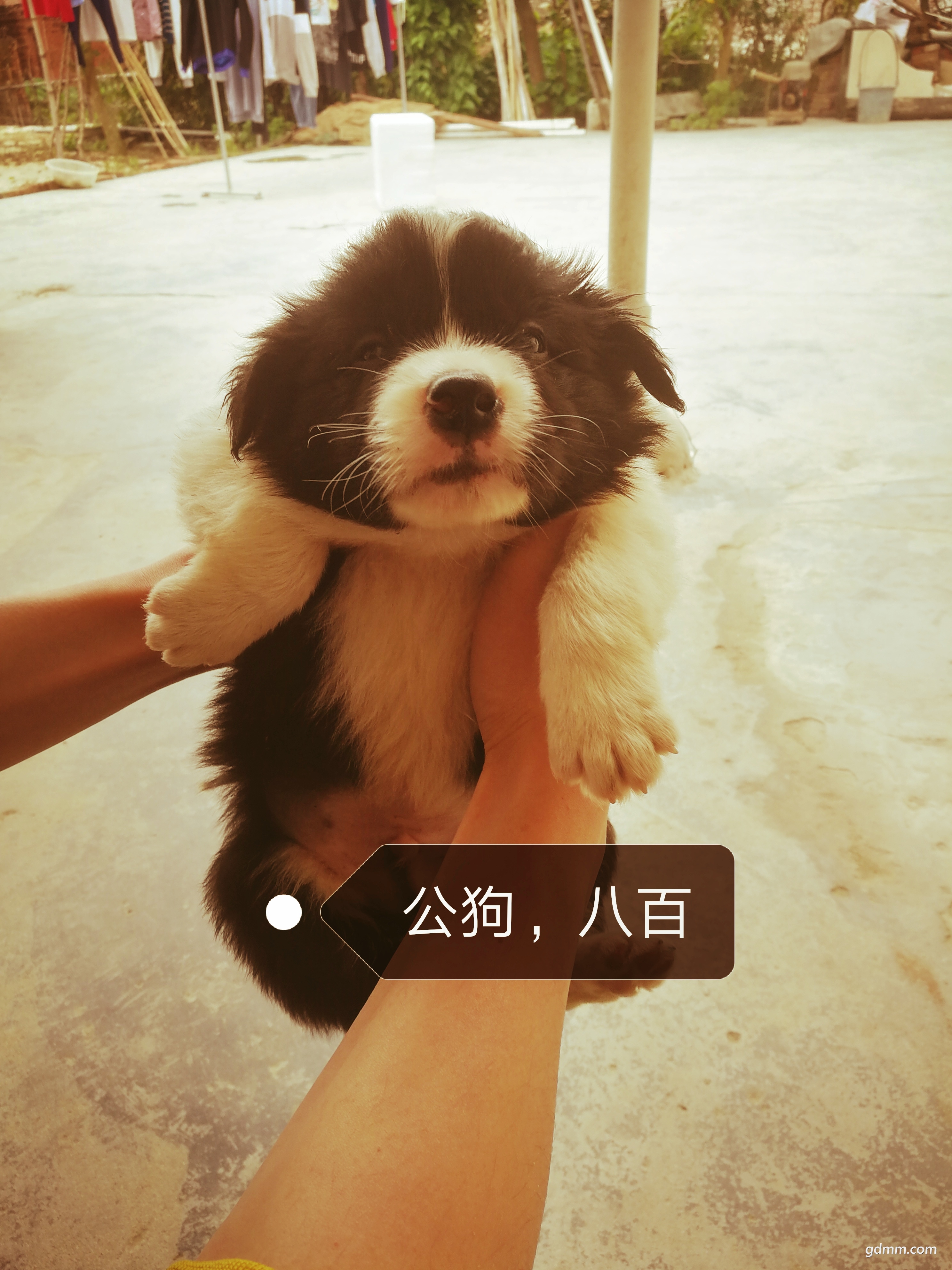 QQͼƬ20190305100257.jpg