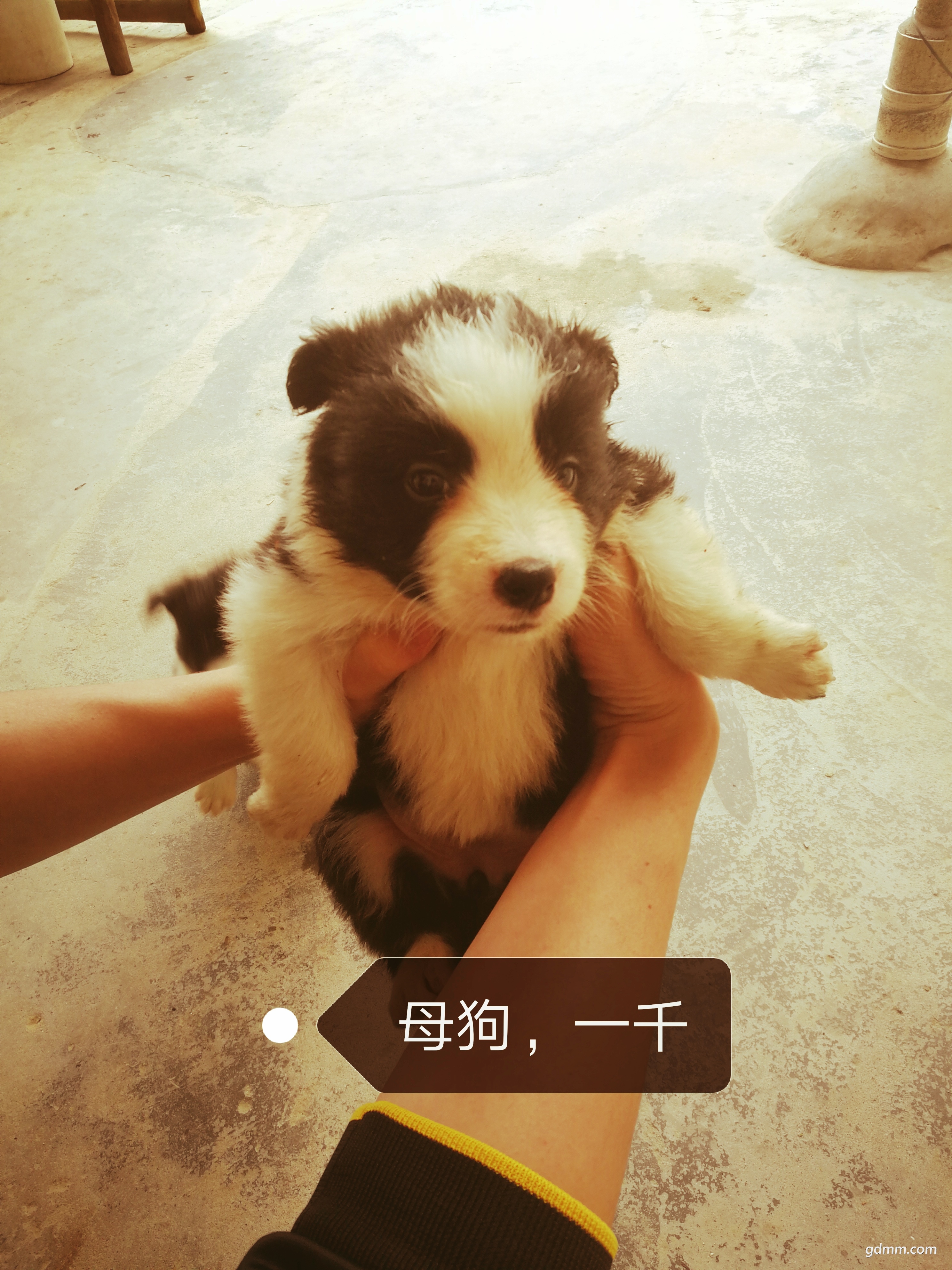 QQͼƬ20190305100246.jpg