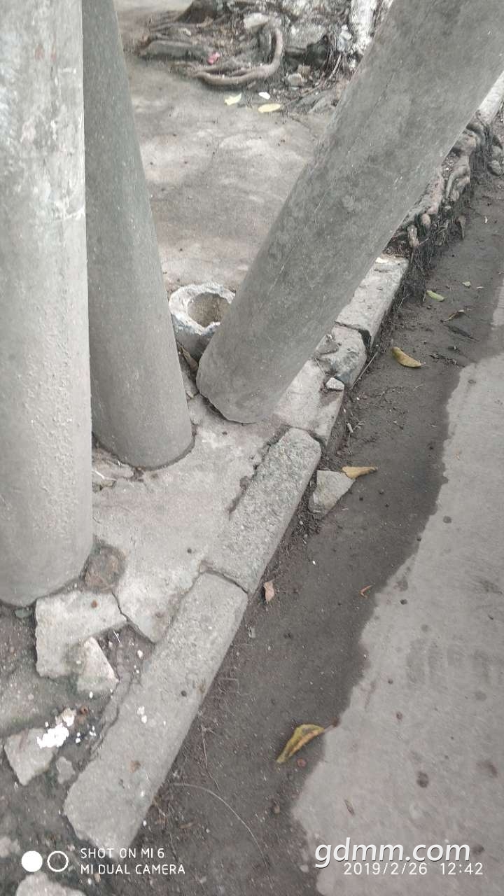 20190308_3281371_1552019592378.jpg