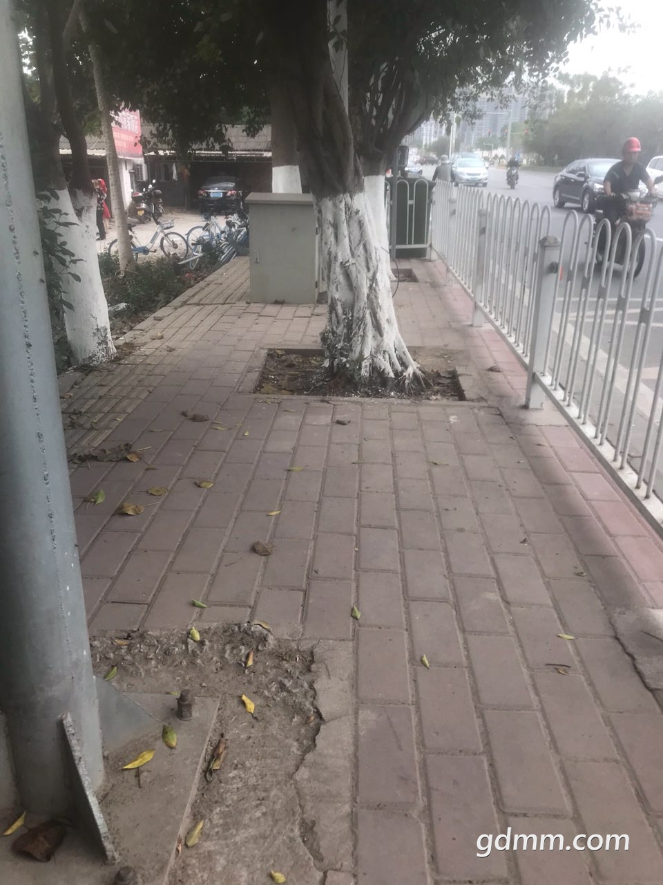 2019030832791411552051982124821.jpg