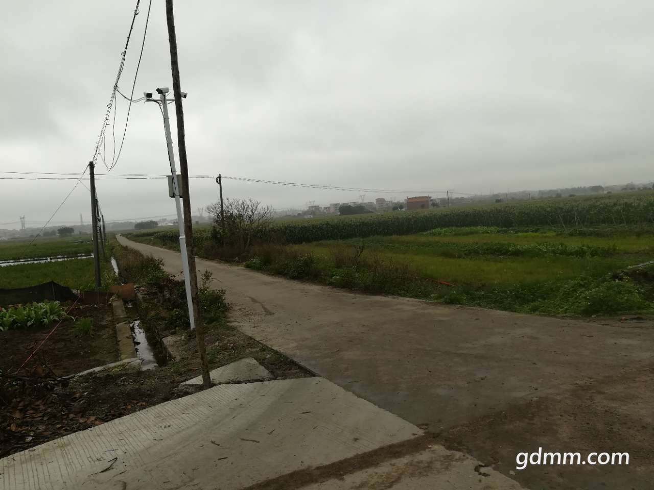 20190309_3271068_1552124360795.jpg