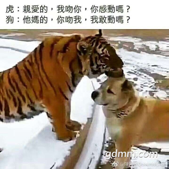 20190310_3271068_1552198197813.jpg