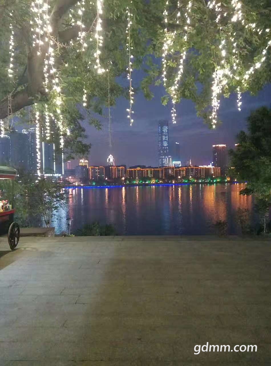 20190312_3275351_1552388625956.jpg