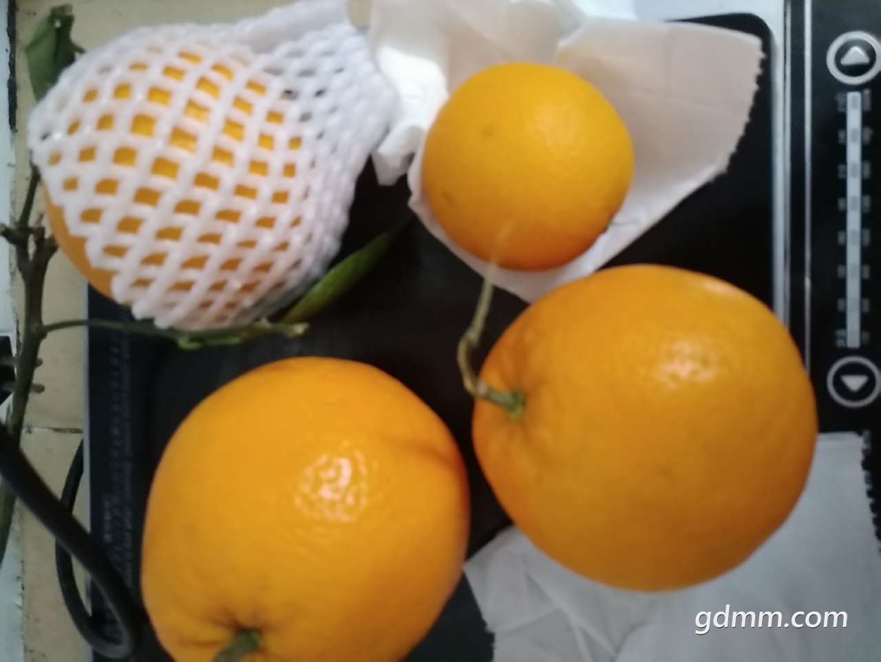 20190313_3245728_1552445296902.jpg