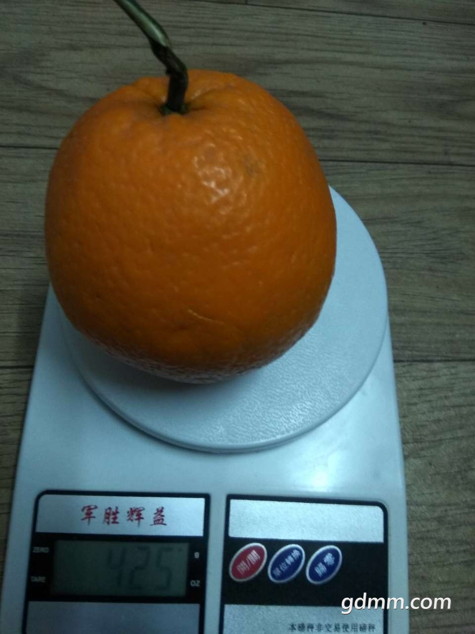 20190313_3245728_1552445298072.jpg