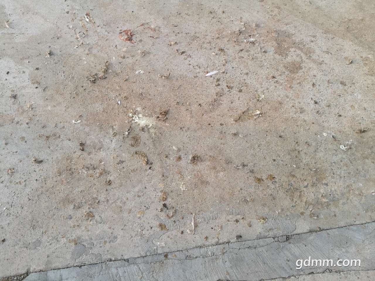 20190313_3281616_1552477867752.jpg