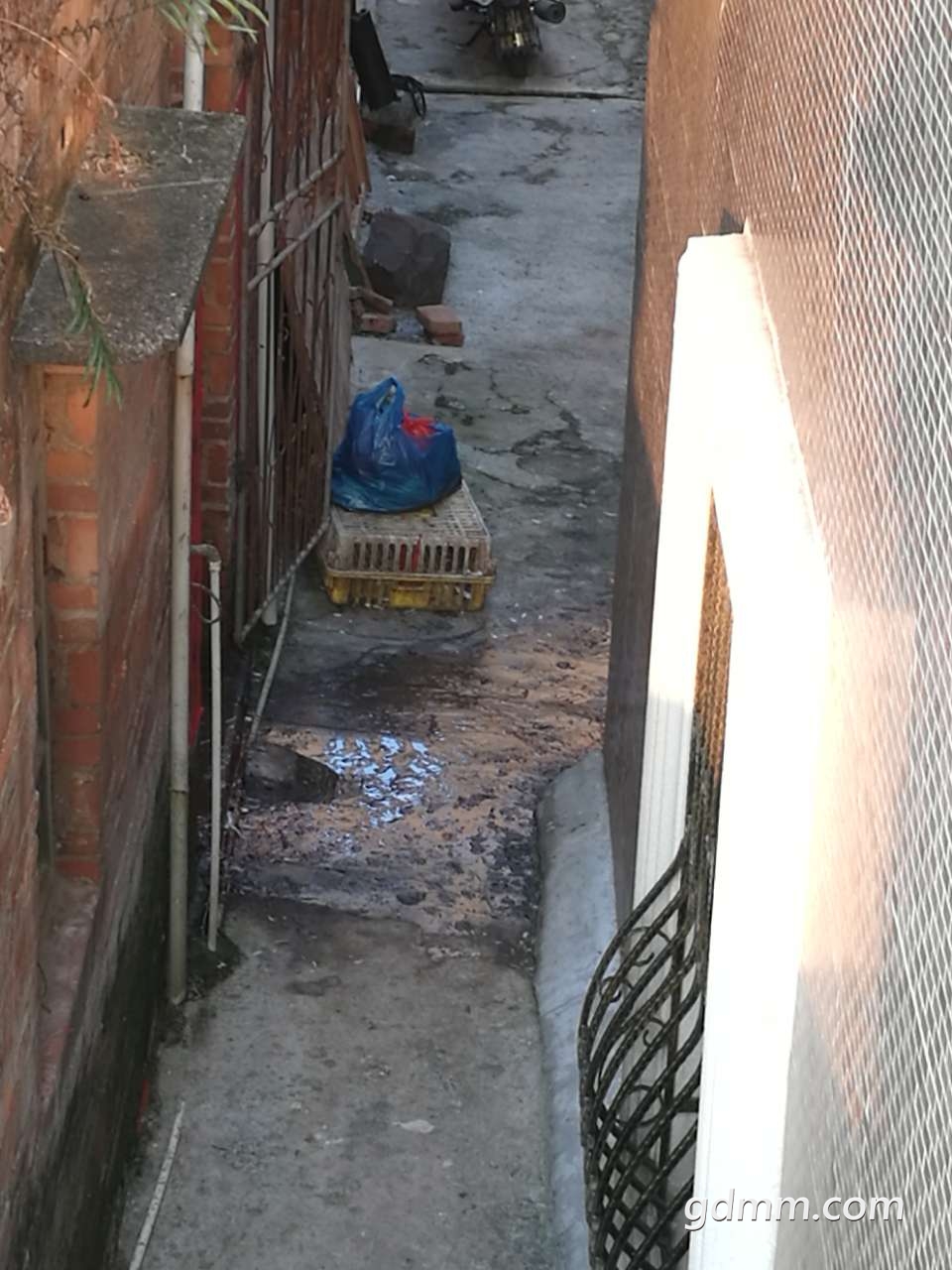 20190313_3281616_1552477868761.jpg