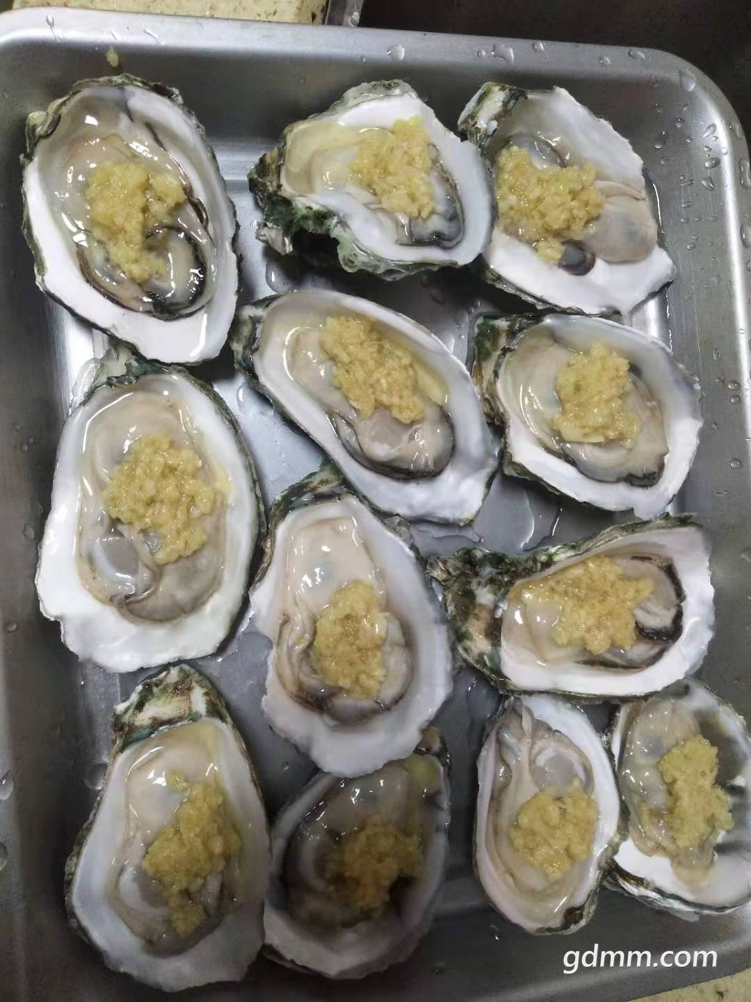 湛江新鲜生蚝出售市区内20斤起送要的加下方微信
