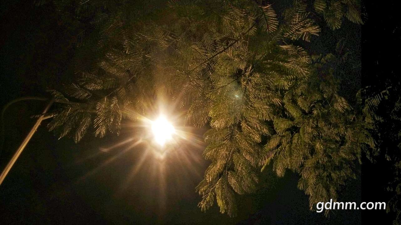 20190316_3236842_1552741584568.jpg