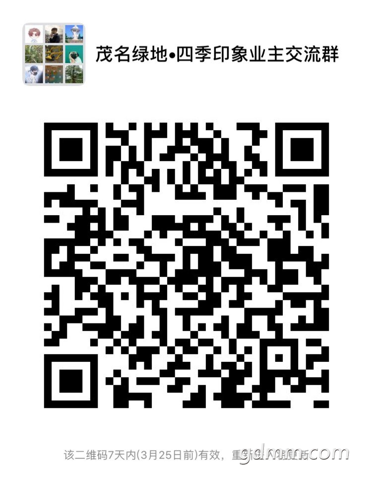 2019031832808371552869443957705.jpg