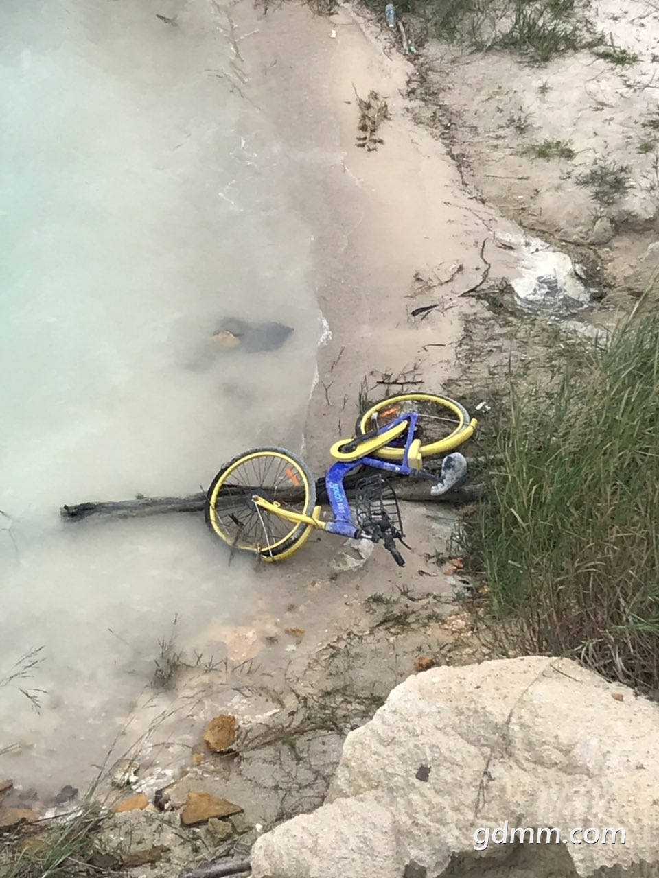 2019031832774701552873454638356.jpg