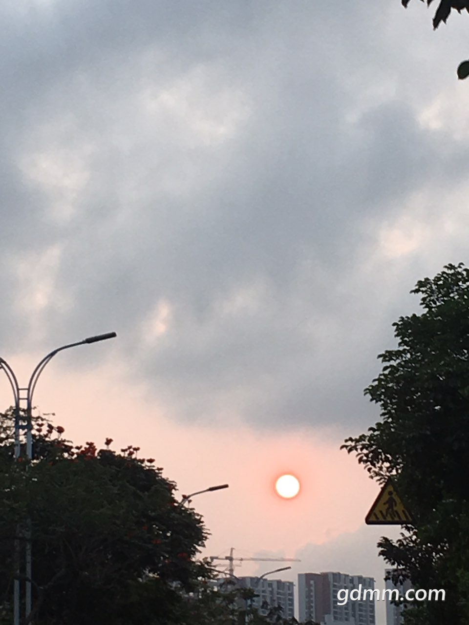 2019031832793121552905527335898.jpg