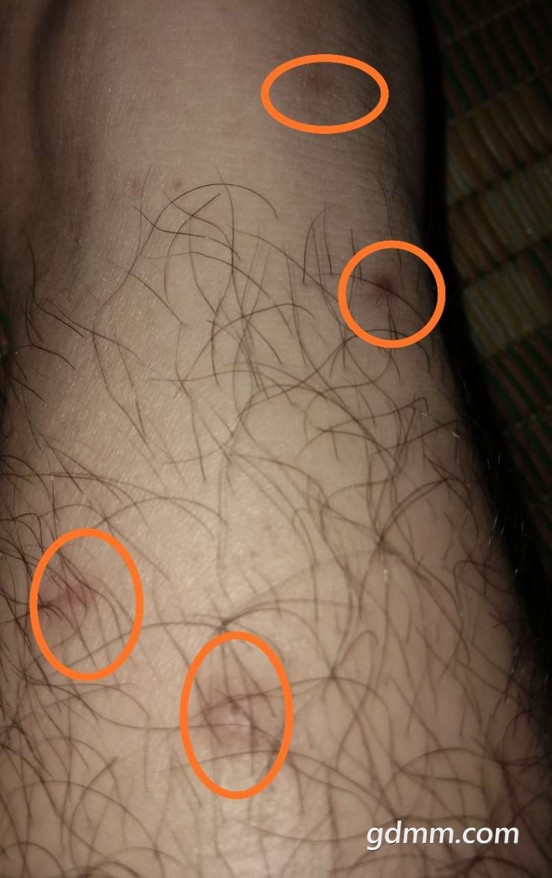 20190318_3275389_1552918864812.jpg